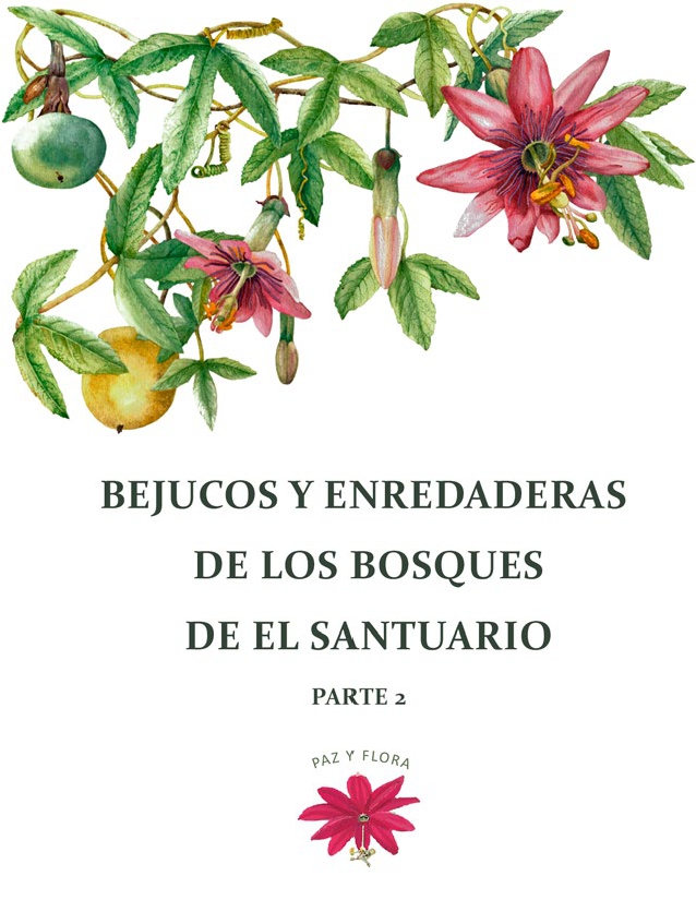 Bejucos y Enredaderas de los Bosques de El Santuario Parte 2 - Colectivo Paz y Flora (2020)